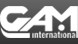 GAM